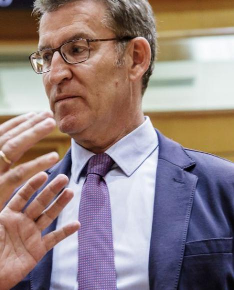 Escándalo en Estepona. El PSOE acusa a Feijóo tapar al alcalde de Estepona acusado de acoso sexual
