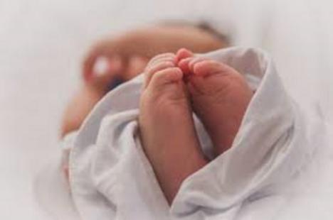 La autopsia al bebé que un indigente encontró en un contenedor de Gijón revela que nació vivo