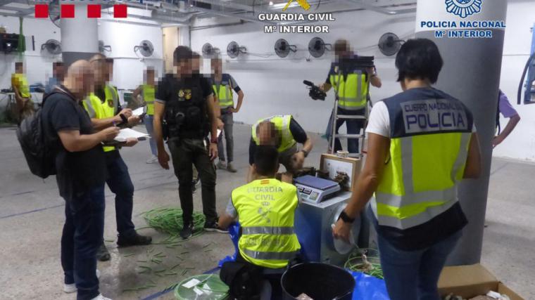 Detienen a 11 personas por delitos contra la salud pública y defraudación de fluido eléctrico en Murcia