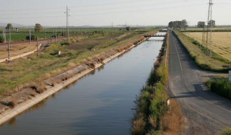 Los Regantes exigen infraestructuras para que el agua que dejan las lluvias pueda embalsarse para regadío