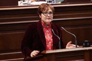 Canarias pide más apoyo financiero al Gobierno para combatir la pobreza