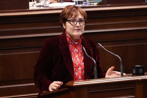 Canarias pide más apoyo financiero al Gobierno para combatir la pobreza