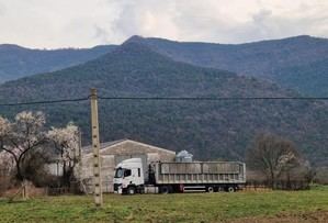 Inicia el vaciado sanitario en explotación ganadera de Borrastre tras brote de DNC