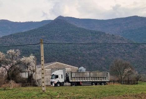 Inicia el vaciado sanitario en explotación ganadera de Borrastre tras brote de DNC