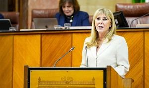 Aprobado el decreto para apoyar a familias y agricultores tras las borrascas en Andalucía