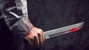 El hombre que mató a su pareja con un cuchillo jamonero ha sido condenado a 18 años de prisión