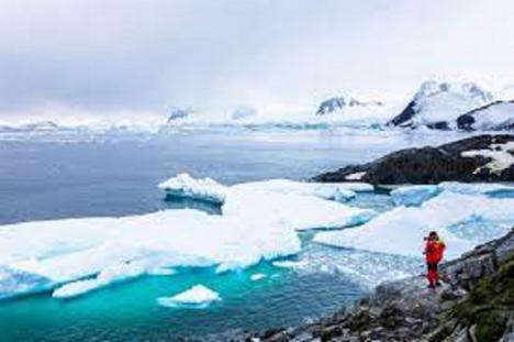 Descubren sustancias peligrosas en aguas de la Antártida: Estamos contaminando el último rincón del planeta