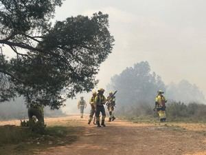 Controlado el incendio forestal de Aledo en menos de un día por 225 efectivos