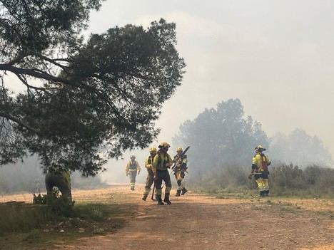 Controlado el incendio forestal de Aledo en menos de un día por 225 efectivos