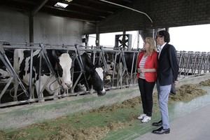 Cantabria apoya a 762 ganaderos de leche con ayudas económicas