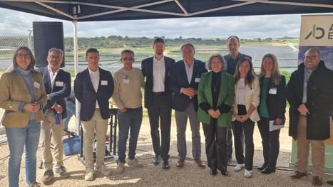 Castilla-La Mancha moviliza 578 millones en renovables y crea 3.500 empleos en 2024