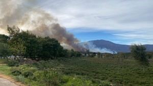 Junta de Extremadura advierte sobre riesgos de incendios tras 14 fuegos en un fin de semana