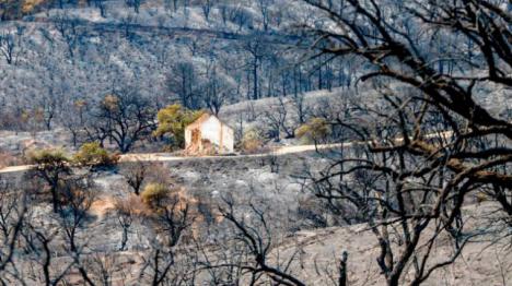 Llueve en Sierra Bermeja donde se han quemado ya más de 7.000 hectáreas