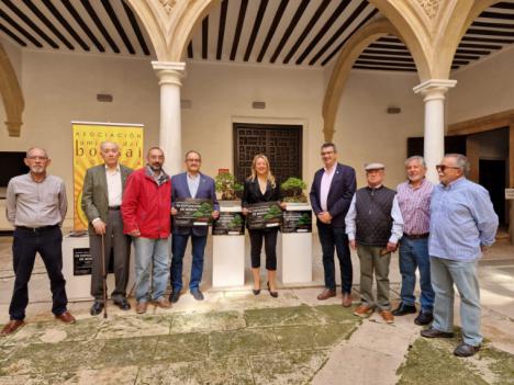 El Palacio de Guevara de Lorca acogerá del 26 al 29 de Mayo la ‘VII Exposición de Bonsái’