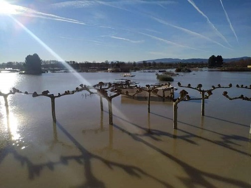 Navarra pierde la cosecha de 15.000 hectáreas arrasadas por la riada
 
 