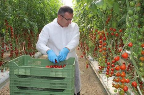 Diego Conesa participará en el Parlamento Europeo en una jornada de trabajo sobre agricultura y el Mar Menor