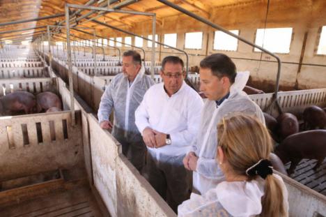 Fulgencio Gil subraya el compromiso social de los ganaderos de porcino con la puesta en marcha del nuevo sello de Bienestar Animal Certificado