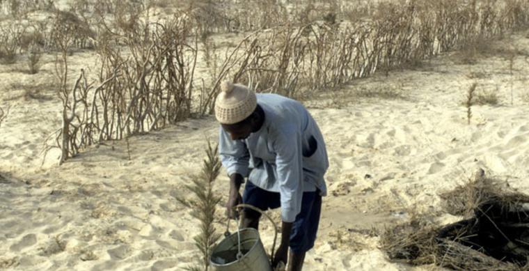  La ONU exige más medidas ante el avance de la desertificación