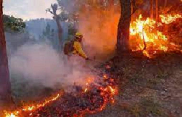CSIF lamenta el fallecimiento del bombero forestal que participaba en las labores de extinción del incendio de Sierra Bermeja