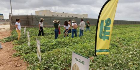 Escándalo en Almería. Randstad ETT acosa a trabajadoras del campo al robarles sus vacaciones denuncia el sindicato CGT
