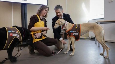 Más de 150 menores reciben apoyo emocional con perros en juzgados de Madrid en 2025