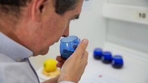 Madrid lanza su primer concurso de catadores de aceite de oliva virgen