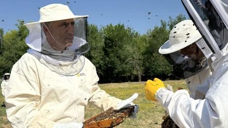 La Comunidad de Madrid ofrece espacio a apicultores para fomentar su actividad profesional