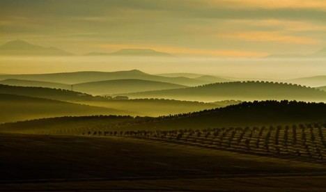 La Junta de Andalucía lanza la XXIX edición del Premio al Medio Ambiente