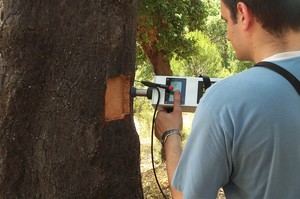 Extremadura lanza el Plan de Calas para evaluar la calidad del corcho 2026