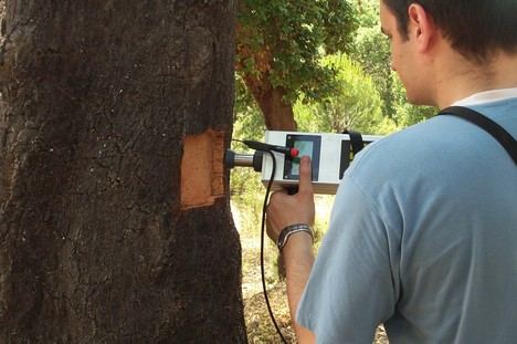 Extremadura lanza el Plan de Calas para evaluar la calidad del corcho 2026