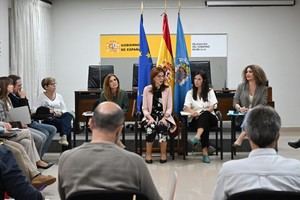 Reunión en Melilla para mejorar la atención a víctimas de violencia de género