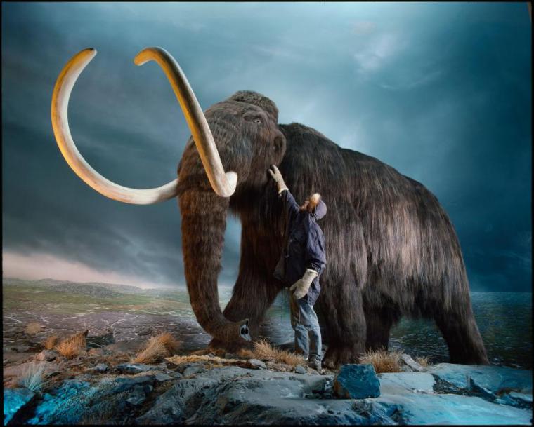 Objetivo: resucitar al mamut lanudo