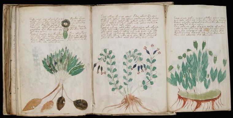 
El 'Manuscrito Voynich' puede ser descifrado gracias a la inteligencia artificial


 
