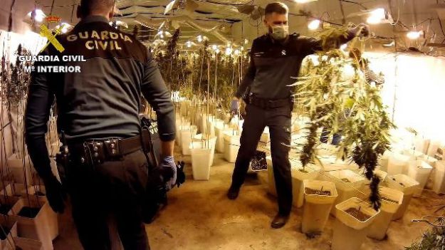 La Policía libera seis personas y desarticula una organización dedicada al cultivo de marihuana
 
