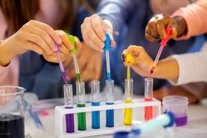 Más de 5.600 estudiantes presentan 800 proyectos en la XI Apañada de Ciencias