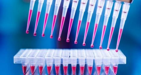 CSIF aplaude que, tal y como solicitó, se hayan realizado más de 200 PCR en Torrecárdenas para detectar profesionales asintomáticos