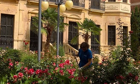 El Ayuntamiento de Lorca inicia la campaña de preparación de las más de 7.000 plantas que adornarán los parques y jardines de todo el municipio el próximo otoño
