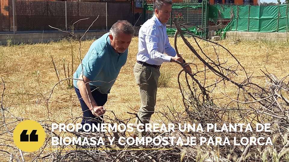 El PP propone construir una planta municipal de biomasa y compostaje para aprovechar los cientos de toneladas de restos agrícolas y podas de particulares que se producen cada año en el municipio