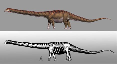 En busca de los restos del mayor titanosaurio que habitó la Tierra