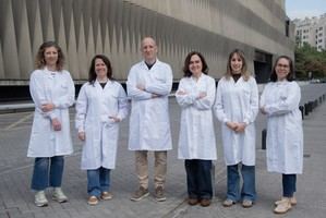 Desarrollan un virus modificado para eliminar infecciones por Staphylococcus aureus