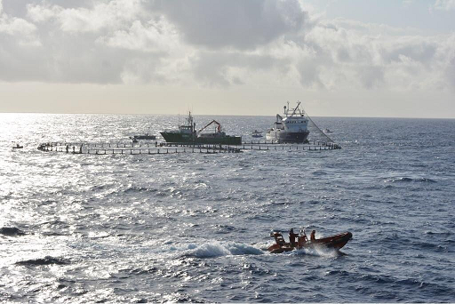 El Patrullero de altura ''Alborán'' comienza su participación en la campaña de control de la pesca del atún rojo en el Mediterráneo