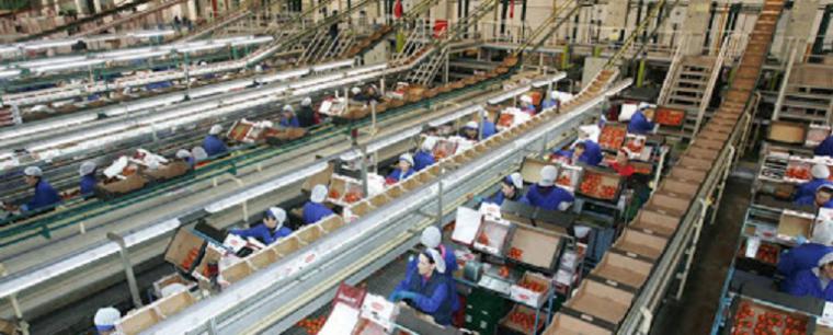 CSIF reitera la necesidad de extremar las medidas de protección a los trabajadores y trabajadoras del manipulado