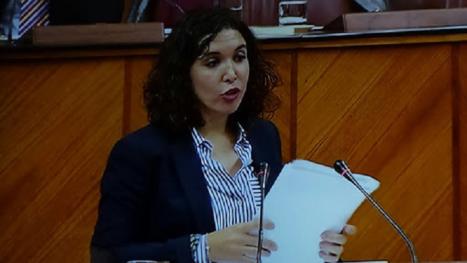 (PSOE) Noelia Ruiz: “Sr. Bravo tendría que pedirles disculpas a los trabajadores por el conflicto laboral que Ud. tiene en VEIASA”