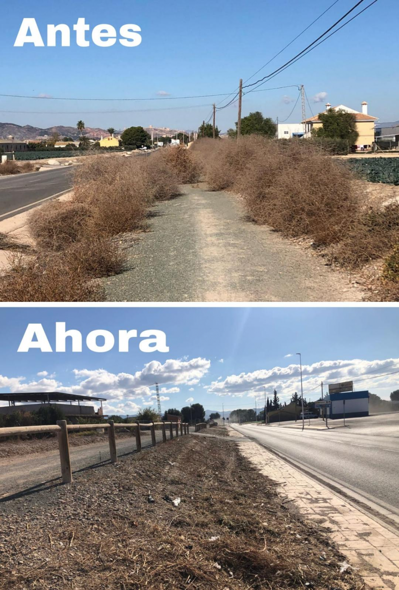 El Ayuntamiento de Lorca realiza actuaciones de mejora en el Colegio Público “San Juan” de Morata así como en la pista deportiva y la limpieza de las carreteras y cunetas de la pedanía