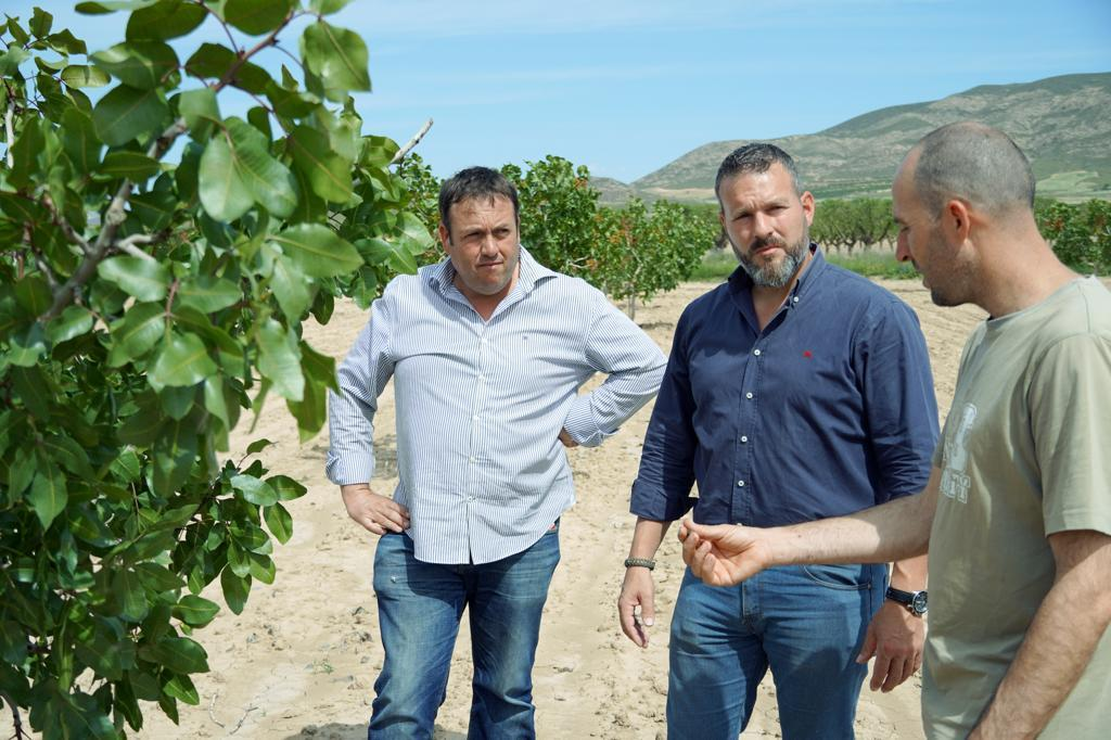 El Concejal de Vox Lorca, José Martínez, visita las plantaciones de pistacho que crecen en las pedanías altas de Lorca