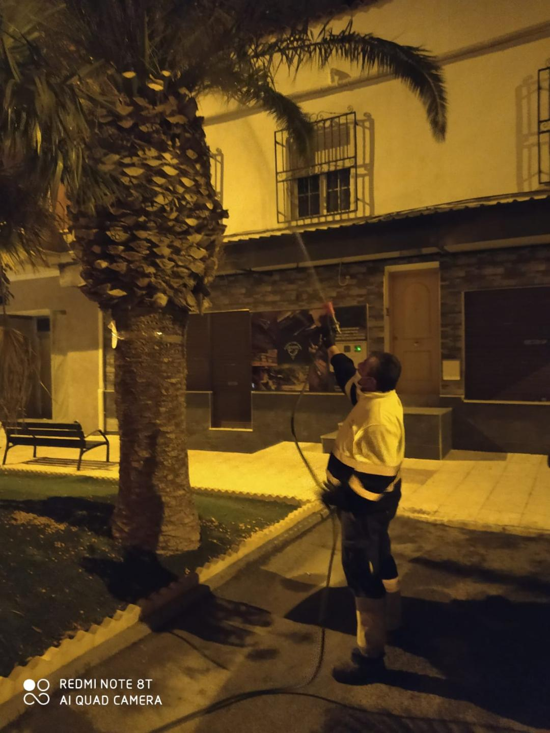 El Ayuntamiento de Puerto Lumbreras continúa la campaña de prevención contra la procesionaria y el picudo rojo en pinos y palmeras del municipio