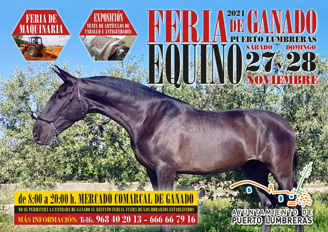 La Feria de Ganado Equino regresa a Puerto Lumbreras tras dos años de ausencia