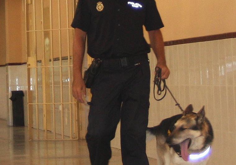 CSIF exige la dotación de una Unidad Canina para luchar contra el tráfico de drogas en el Acebuche