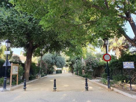 El PSOE solicita al Gobierno municipal que revise el estado de los árboles de Lorca ante las altas temperaturas
 