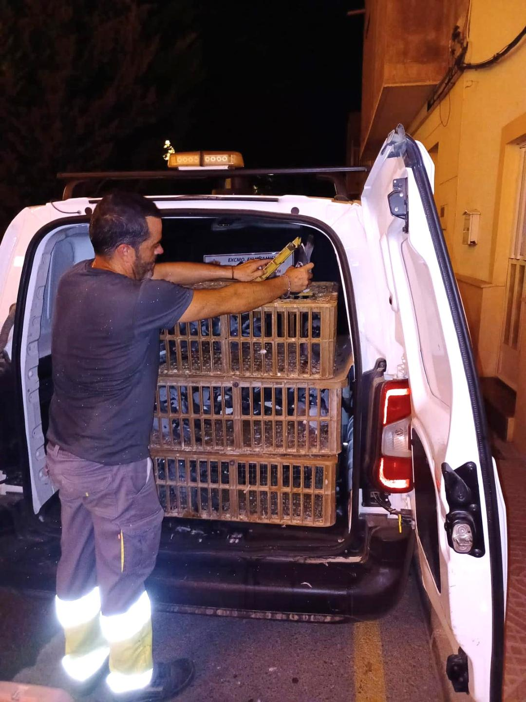 Retiran casi dos centenares de palomas de las inmediaciones del Santuario de la 'Virgen de las Huertas' de Lorca
